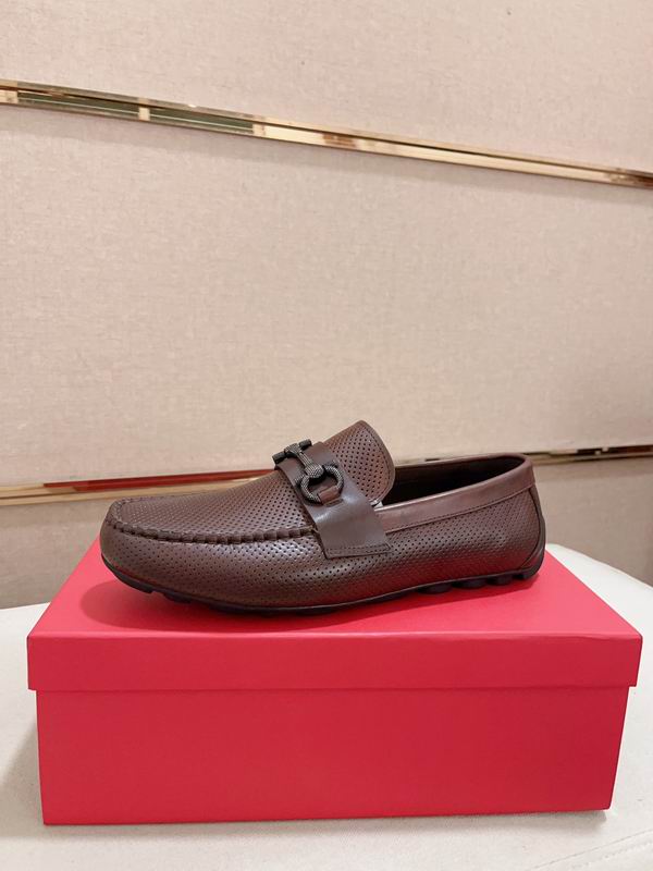 Ferragamo sz38-44 hnq1204